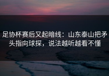 足协杯赛后又起暗线：山东泰山把矛头指向球探，说法越听越看不懂