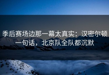 季后赛场边那一幕太真实：汉密尔顿一句话，北京队全队都沉默
