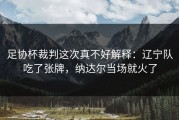 足协杯裁判这次真不好解释：辽宁队吃了张牌，纳达尔当场就火了