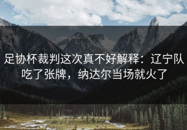 足协杯裁判这次真不好解释：辽宁队吃了张牌，纳达尔当场就火了