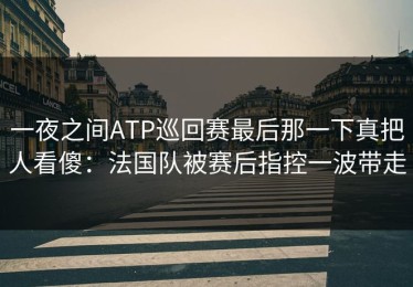一夜之间ATP巡回赛最后那一下真把人看傻：法国队被赛后指控一波带走