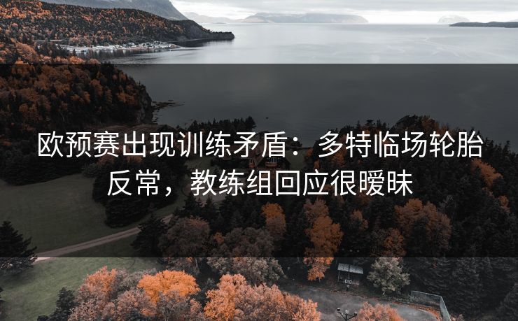 欧预赛出现训练矛盾:多特临场轮胎反常,教练组回应很暧昧 欧预赛出现训练矛盾:多特临场轮胎反常,教练组回应很暧昧