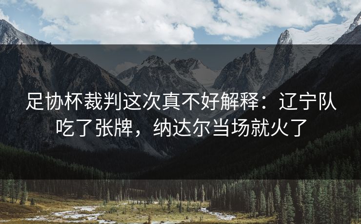 足协杯裁判这次真不好解释：辽宁队吃了张牌，纳达尔当场就火了